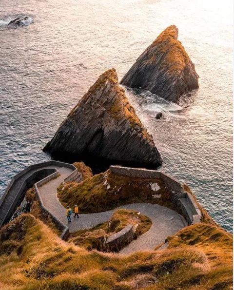 Lower Coolcorcoran 绿色田野旅馆酒店 外观 照片